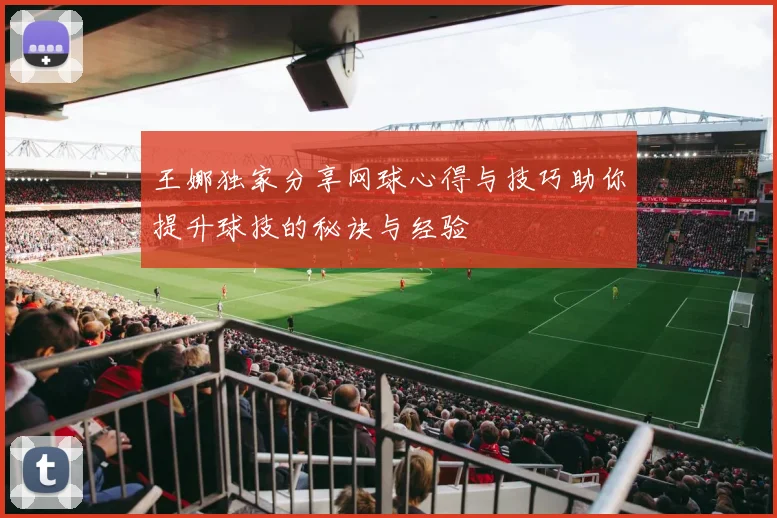 王娜独家分享网球心得与技巧助你提升球技的秘诀与经验