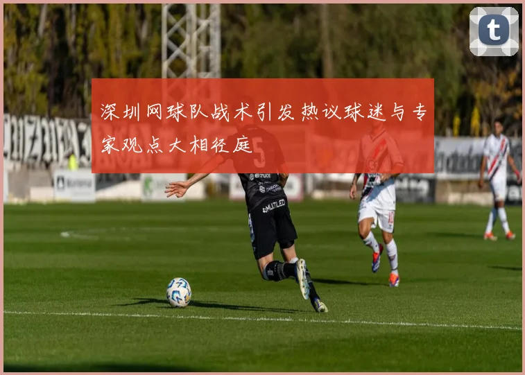 深圳网球队战术引发热议球迷与专家观点大相径庭