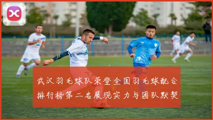 武汉羽毛球队荣登全国羽毛球配合排行榜第二名展现实力与团队默契